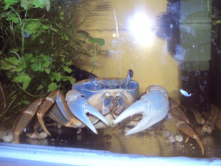 Naše FBI nic mu v bytě neuteče:-)